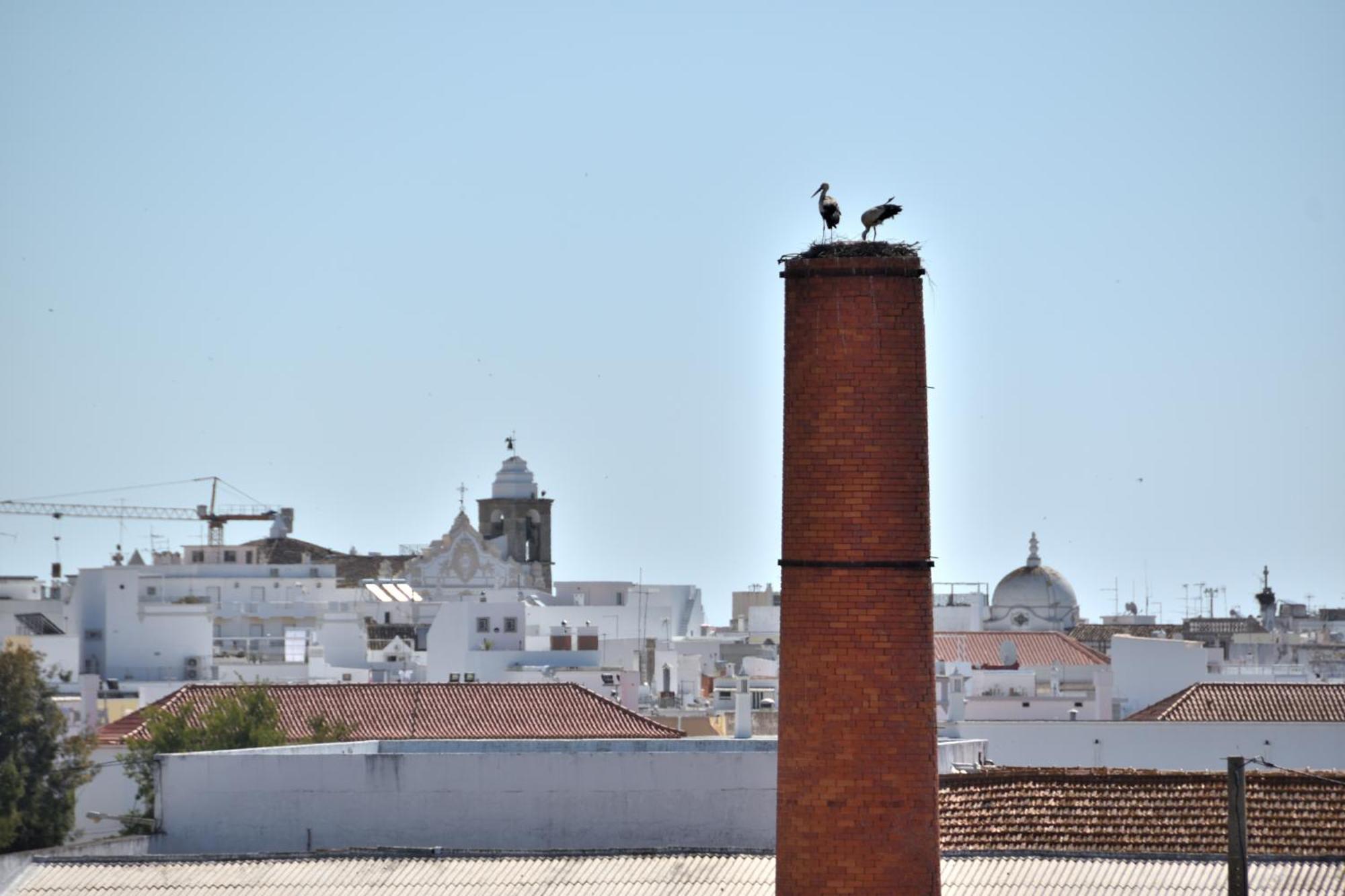 Stork Apartment Olhão Eksteriør billede